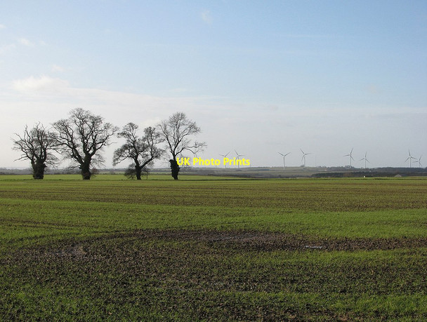Photo 6"x4" Trees, fields, turbines Burrough End c2012