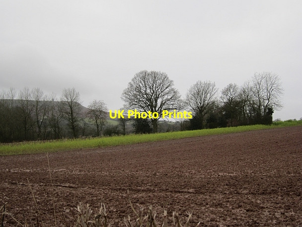 Photo 6"x4" Field, Silvington Farlow c2012