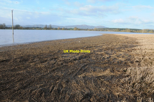 Photo 6"x4" Flooding at Severn Stoke Severn Stoke c2012