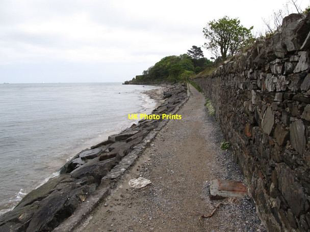 Photo 6"x4" Treading the Narrow Path between the Royal Belfast Golf Course Wall and Belfast Lough Craigavad c2012