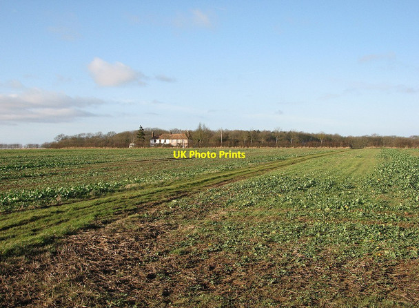 Photo 6"x4" Footpath to Westley Waterless Burrough Green c2012