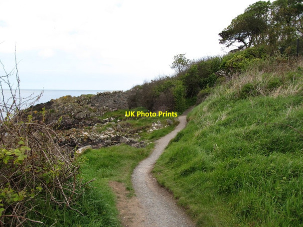 Photo 6"x4" A cliff top section of the North Down Coastal Path  Craigavad c2012