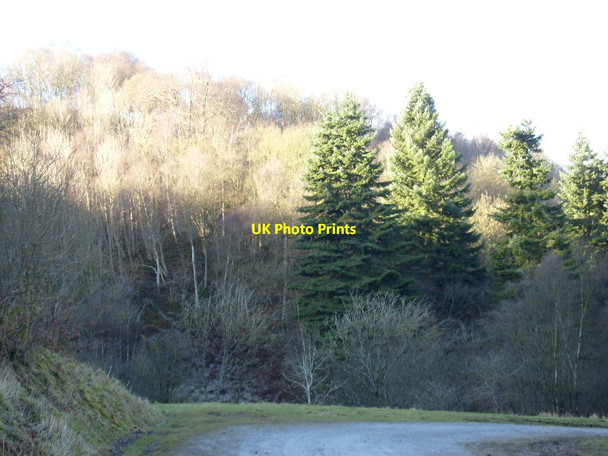 Photo 6"x4" Sword Gill Rievaulx c2013