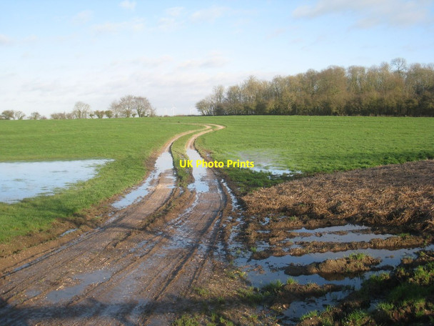 Photo 6"x4" Farm track opposite Manor Farm, Beesby Beesby\/TF4680 c2013