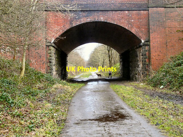 Photo 6"x4" New Year's Day on the Trans Pennine Trail Hyde\/SJ9494 c2013
