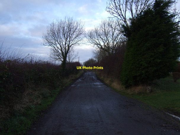 Photo 6"x4" Track to East Rounton Ingleby Arncliffe c2012