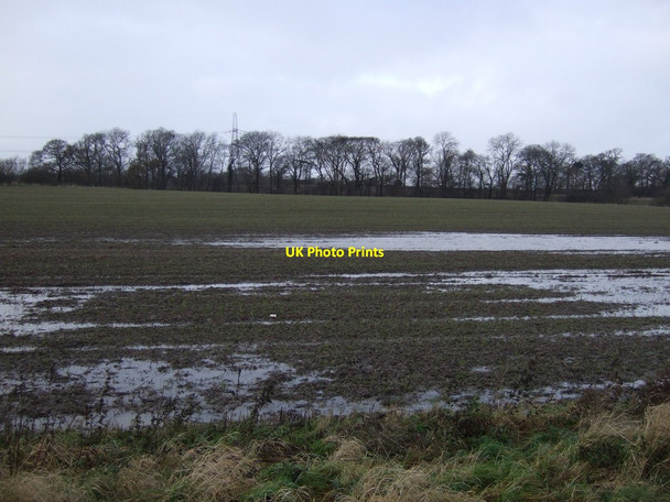 Photo 6"x4" Farmland, Trenholme Bridge East Rounton c2012