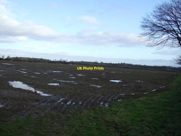 Photo 6"x4" Farmland off Back Lane Crathorne c2012