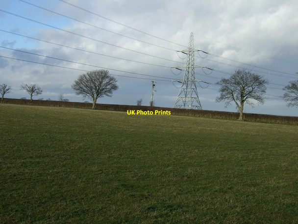 Photo 6"x4" Farmland near Picton Picton\/NZ4107 c2012