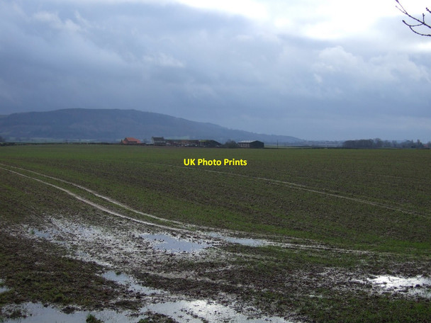 Photo 6"x4" Farmland, Thorn Farm Enterpen c2012