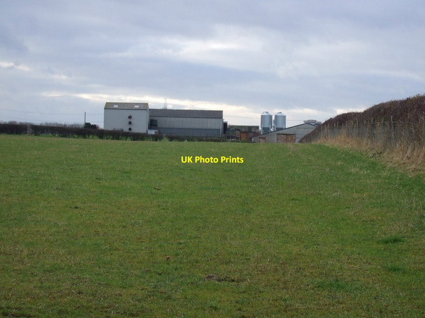 Photo 6"x4" Farmland towards Doddle Hill Farm East Rounton c2012