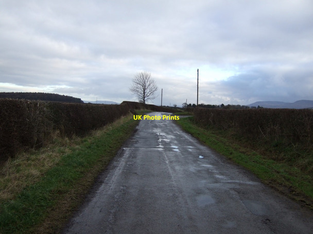 Photo 6"x4" Parson Back Lane Potto c2012