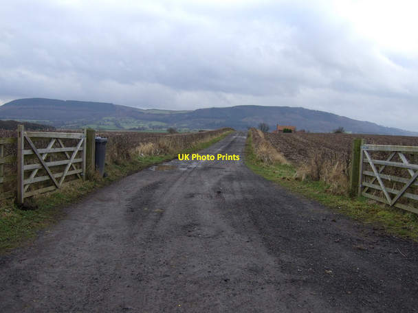 Photo 6"x4" Track to Potto Carr Potto c2012