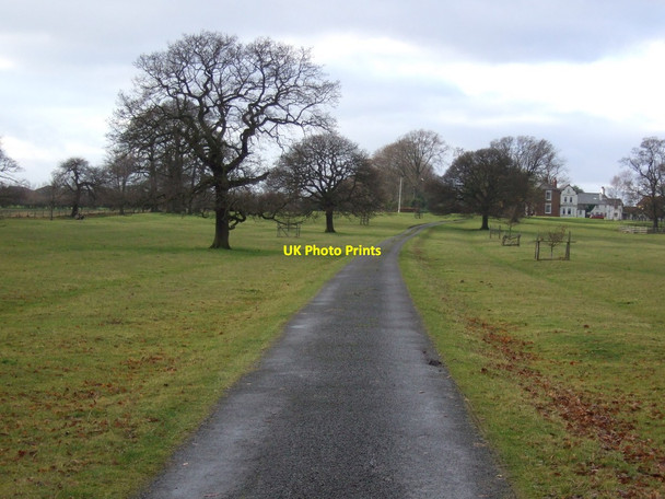 Photo 6"x4" Driveway to Potto Grange Goulton c2012