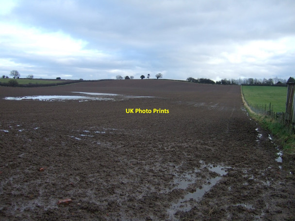 Photo 6"x4" Farmland, Rudby Rudby c2012