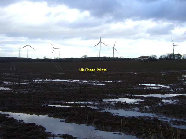 Photo 6"x4" Farmland, Middleton Lodge Hilton\/NZ4611 c2012