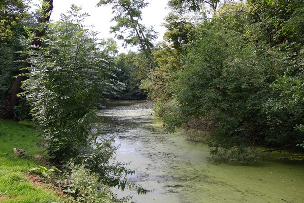 Photo 6"x4" Brent Park Hendon\/TQ2389 c2008