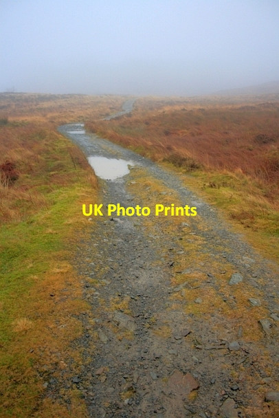 Photo 6"x4" Bridleway to Satterthwaite Satterthwaite c2012