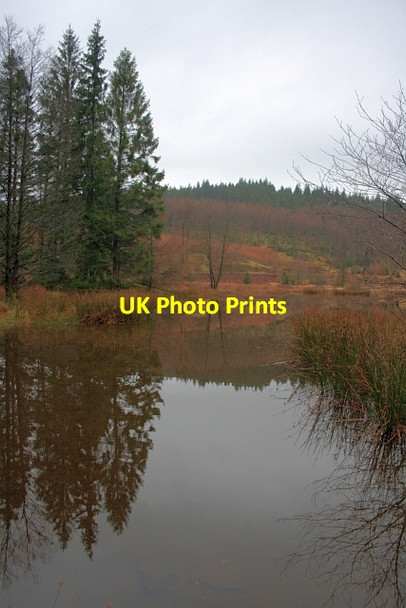 Photo 6"x4" Hob Gill Tarn Force Forge c2012