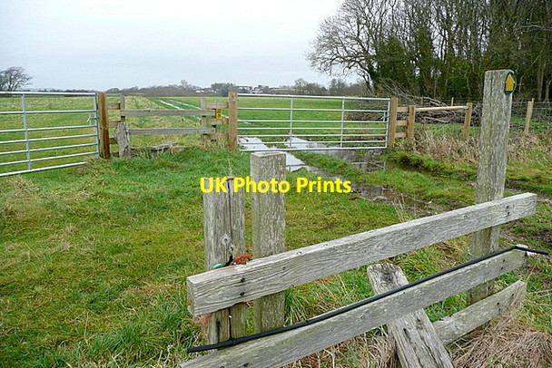 Photo 6"x4" Footpath towards Calbourne Calbourne c2012