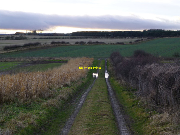 Photo 6"x4" Farm track Broxfield c2013