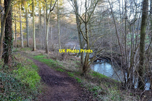 Photo 6"x4" Path by the Tyne Water, Pencaitland Pencaitland c2013