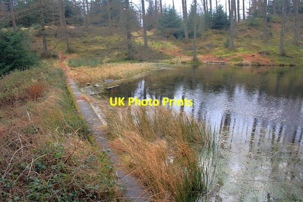 Photo 6"x4" The Dam Wall at Goose Foot Tarn Hawkshead Hill c2012