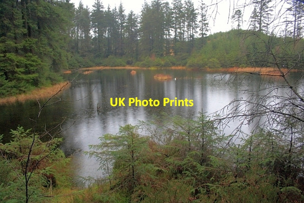 Photo 6"x4" Not Grizedale Tarn Grizedale c2012