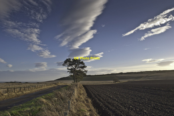 Photo 6"x4" Trees, clouds and ploughed field Shandwick c2013