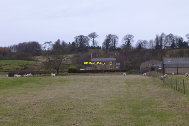 Photo 6"x4" Waterside House Alnwick c2013