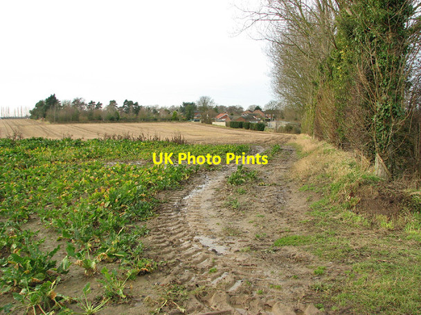Photo 6"x4" View towards Hemblington Corner Hemblington Corner c2013