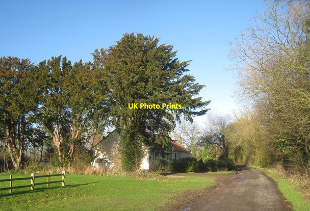 Photo 6"x4" Fen Lane, Beesby Beesby\/TF4680 c2013