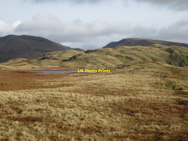 Photo 6"x4" Unnamed tarn near Steel Fell Town Head\/NY3309 c2012