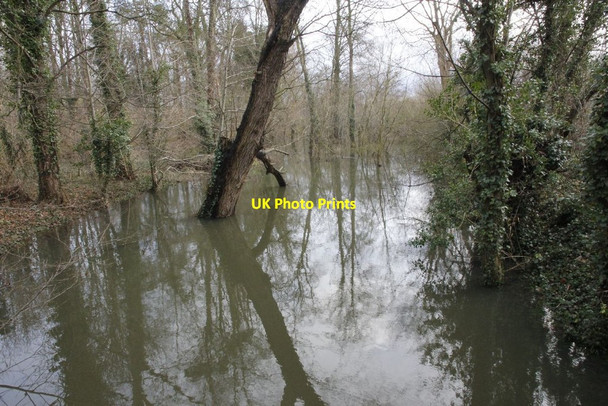 Photo 6"x4" Cholsey Brook North Stoke\/SU6186 c2012