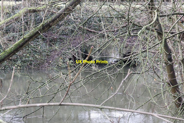 Photo 6"x4" Culvert under the A329 North Stoke\/SU6186 c2012