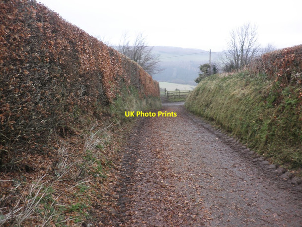 Photo 6"x4" Minor road junction, Treborough Treborough c2013