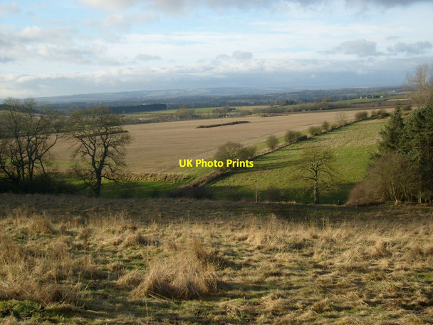 Photo 6"x4" The Riggs Appleton-le-Moors c2013