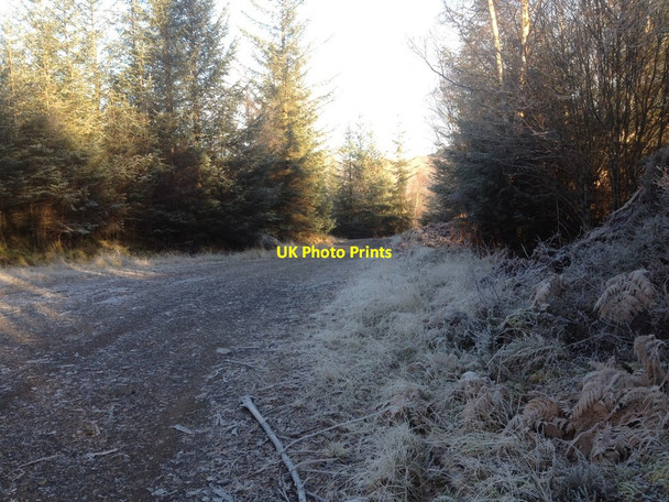 Photo 6"x4" Forestry road in Fearnoch Forest Brochroy c2012