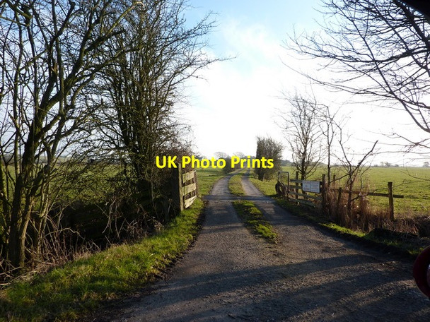 Photo 6"x4" Road to Thursland Hill Lower Thurnham c2010