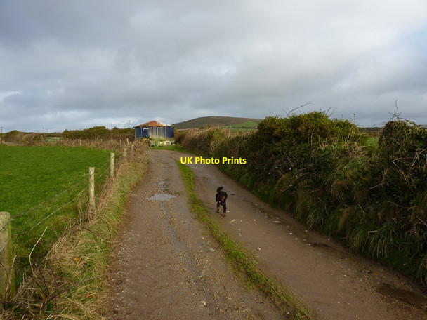 Photo 6"x4" The track from Bosanketh Farm Crows-an-wra c2012