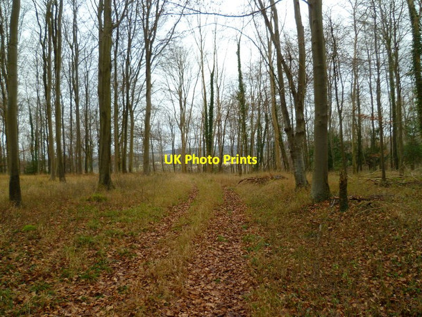 Photo 6"x4" View across valley from Rewell Hill Wood Madehurst c2013