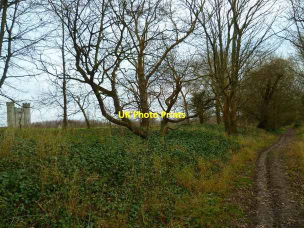 Photo 6"x4" Track in Arundel Park with view of Hiorne Tower Arundel c2013