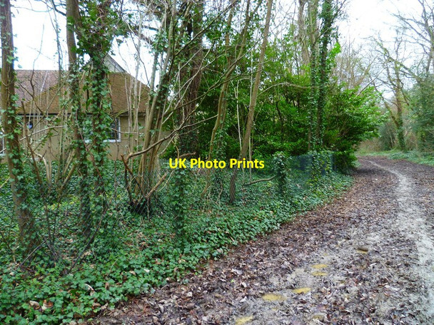 Photo 6"x4" The bridleway reaches the Arundel & District Community Hospital (1) Arundel c2013