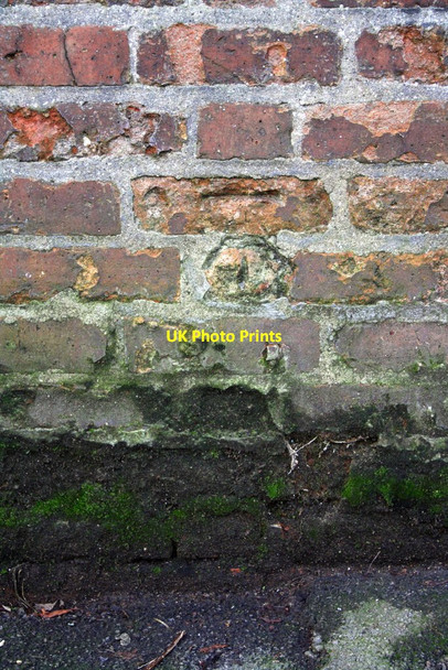 Photo 6"x4" Benchmark on Leckford Road wall Oxford\/SP5106 c2013