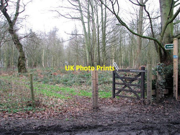 Photo 6"x4" Start of footpath to St Mary's church in Ashby Herringfleet c2013