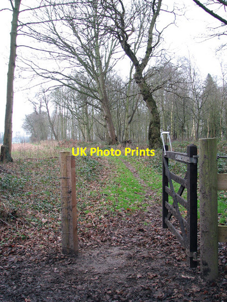 Photo 6"x4" Footpath to St Mary's church, Ashby Herringfleet c2013