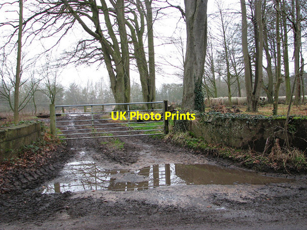 Photo 6"x4" Muddy track into cattle pasture, Fritton Herringfleet c2013