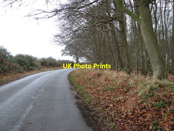 Photo 6"x4" To St Olaves on Browston Lane Browston Green c2013