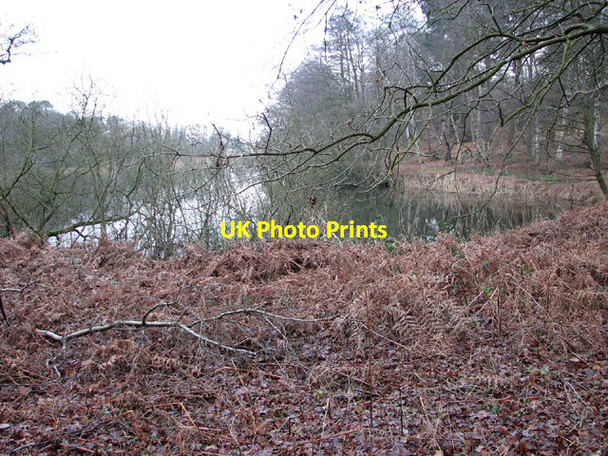 Photo 6"x4" Lakes east of Yarmouth Road Browston Green c2013