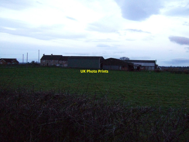 Photo 6"x4" Worsall Grove Farm Low Worsall c2013